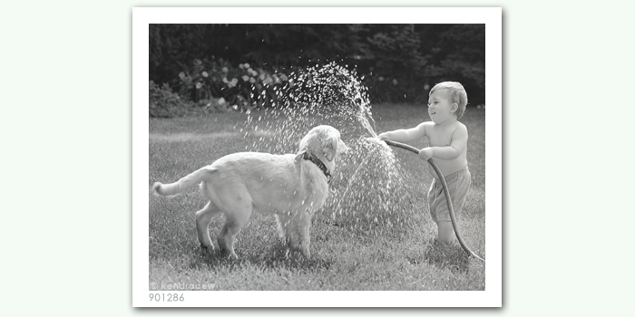 photograph of boy spraying dog